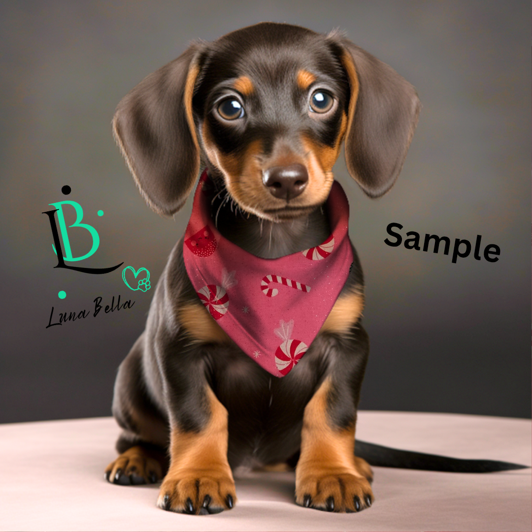 *Pre-Order* Pink Christmas Candy Scrunchie Back Pet Bandana | Dog & Cat Bandanas | Christmas & Everyday Pet Accessories (XS–XL)