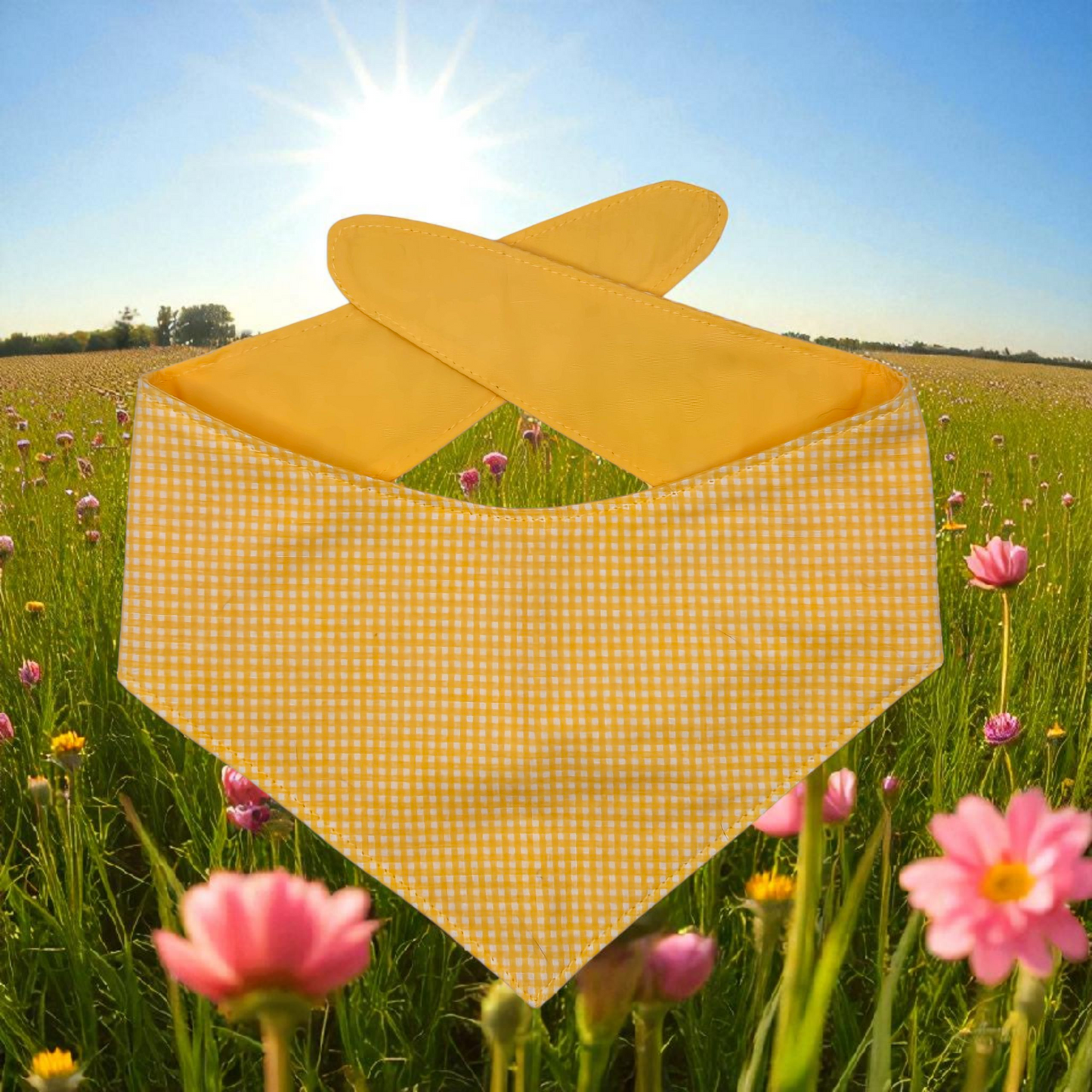 Yellow Gingham
