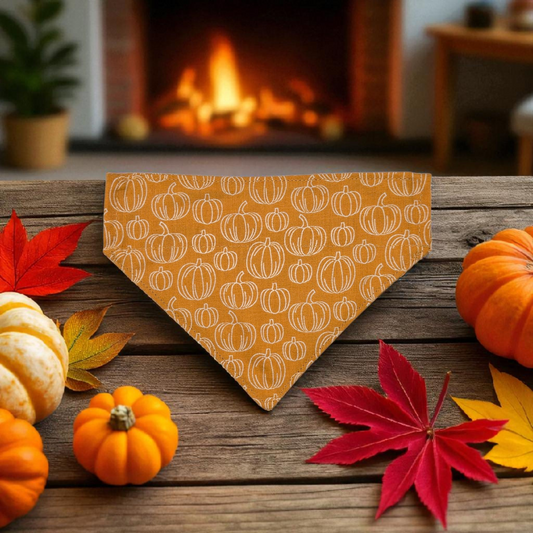 Pumpkin Patch Dog Bandana – Fall Pet Accessory, Autumn Dog Scarf, Halloween & Thanksgiving Outfit